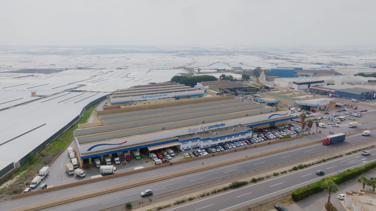 Imanol Almudí, CEO de Agroponiente, como presidente de esta nueva sección.