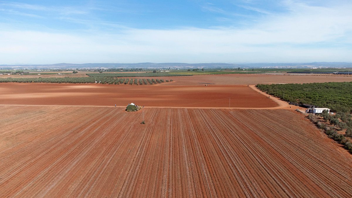 “Hay que redistribuir más y mejor, revisar algunas ayudas asociadas y reflexionar sobre el descenso de solicitudes”.