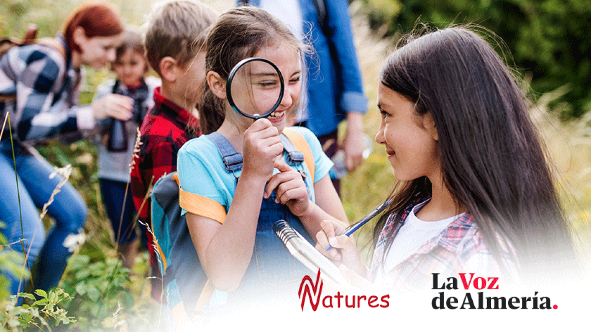 CONCURSO CAMPAMENTOS DE VERANO