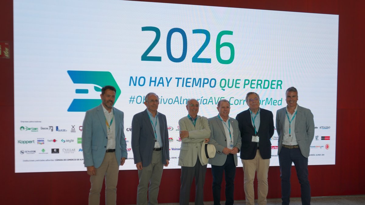 Los expertos que analizan las obras del AVE en Almería.