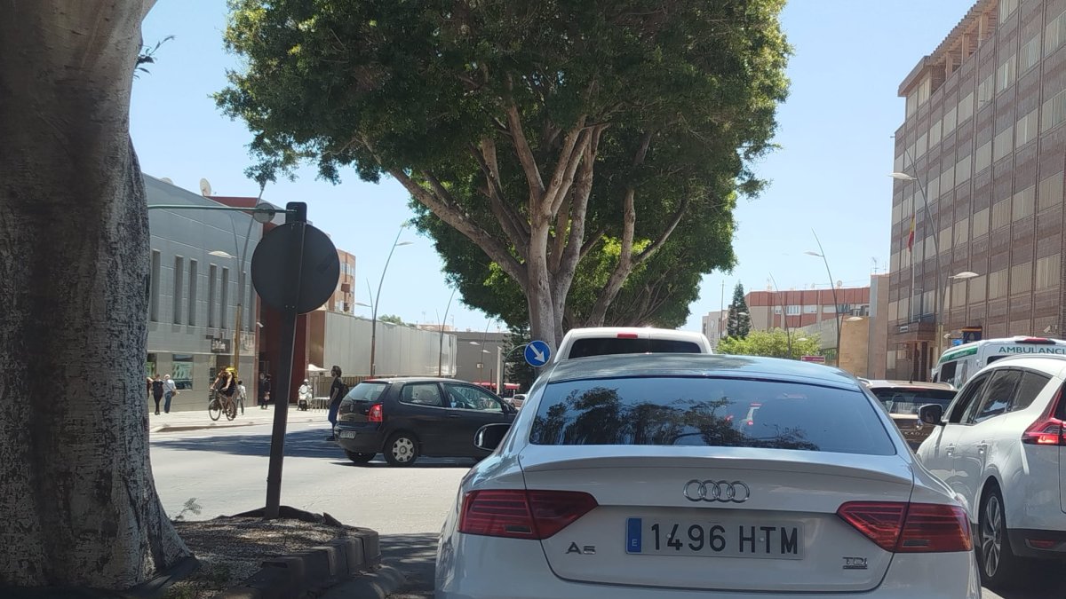 Las colas inevitables en la Avenida del Mediterráneo