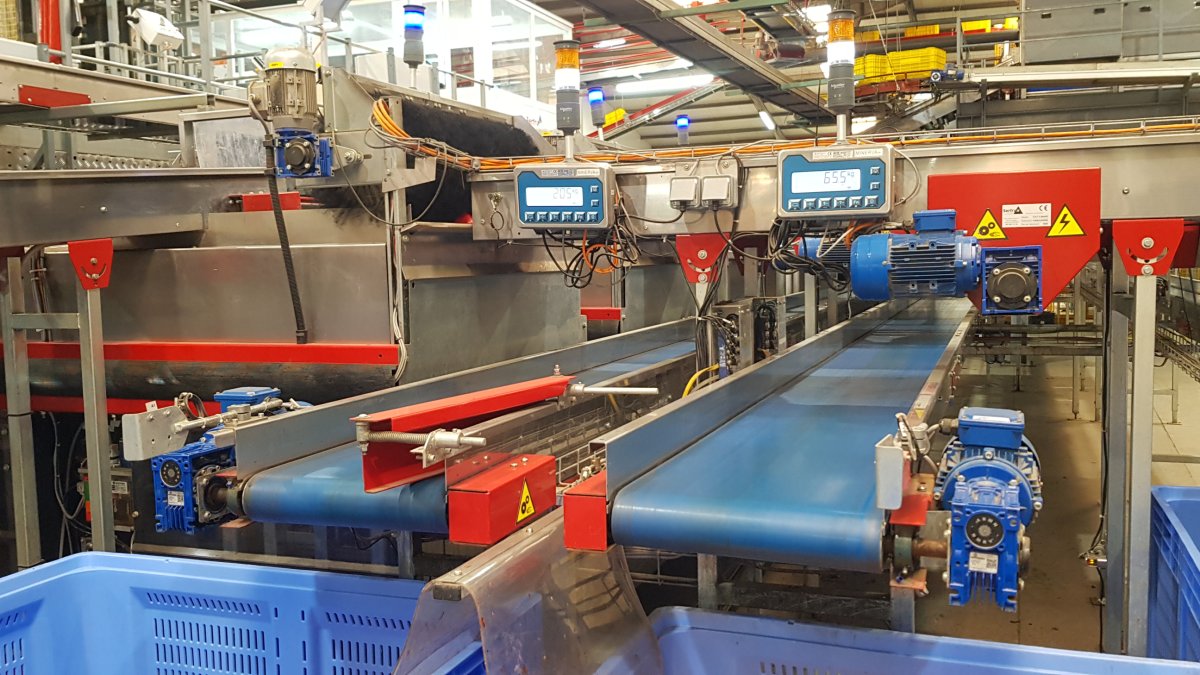 Las empresas y cooperativas de COEXPHAL demuestran su resiliencia ante el apagón eléctrico. 