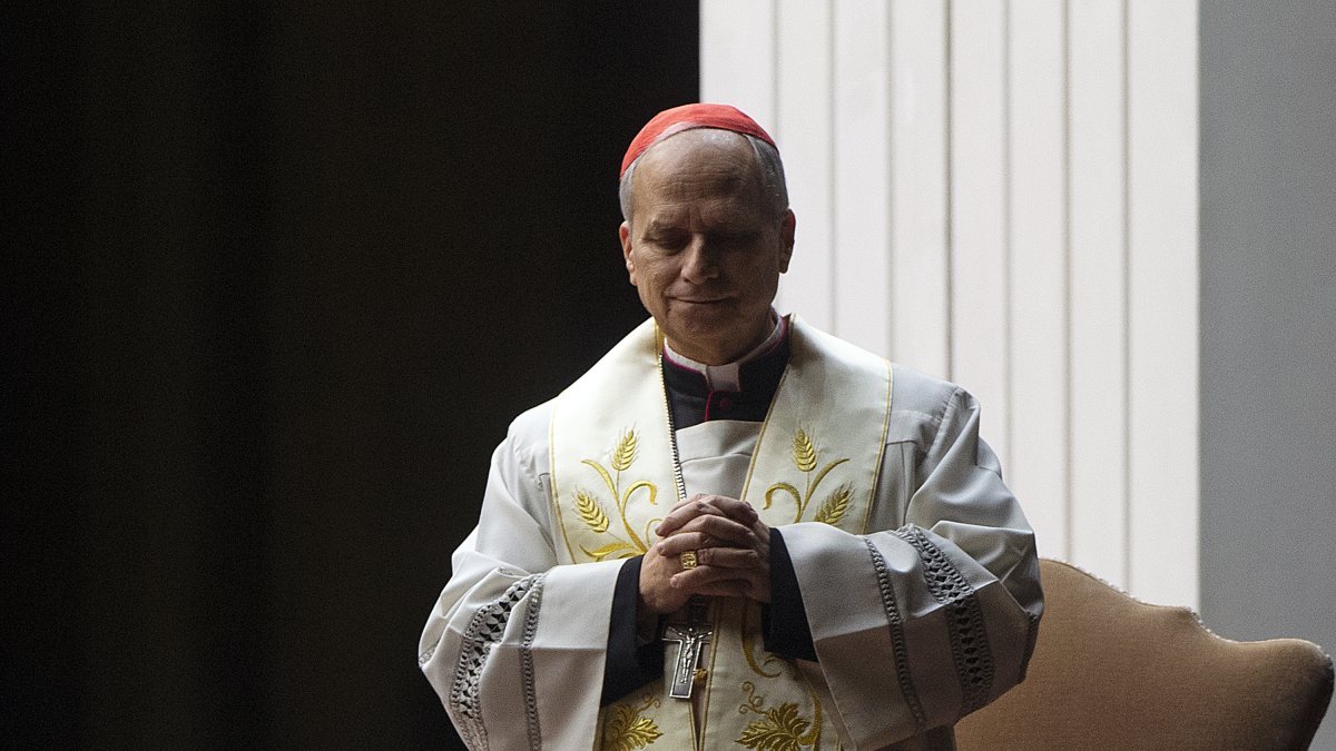 El cardenal Robert Francis Prevost, nuevo Papa con el nombre de León XIV.