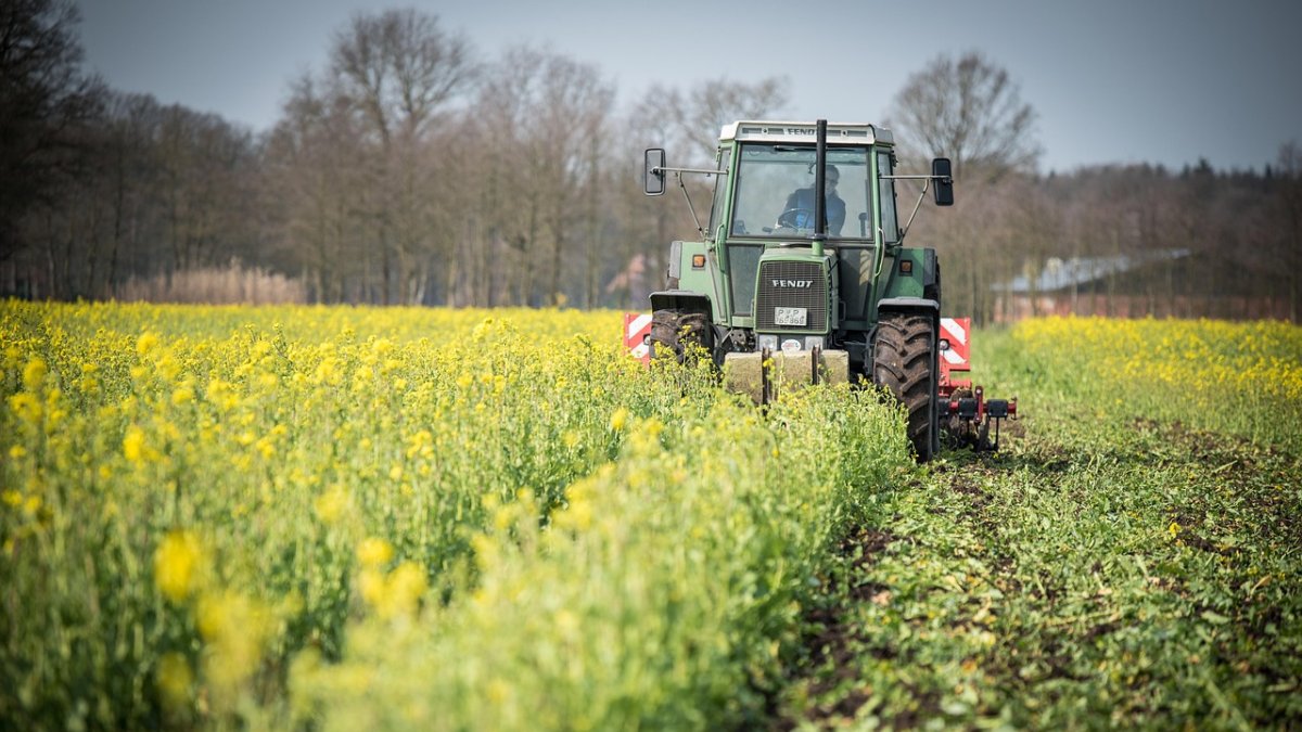 El Ministerio de Agricultura, Pesca y Alimentación concede ayudas por 5,6 millones de euros a 33 proyectos de intercambio de conocimiento y formación en el sector agroalimentario.