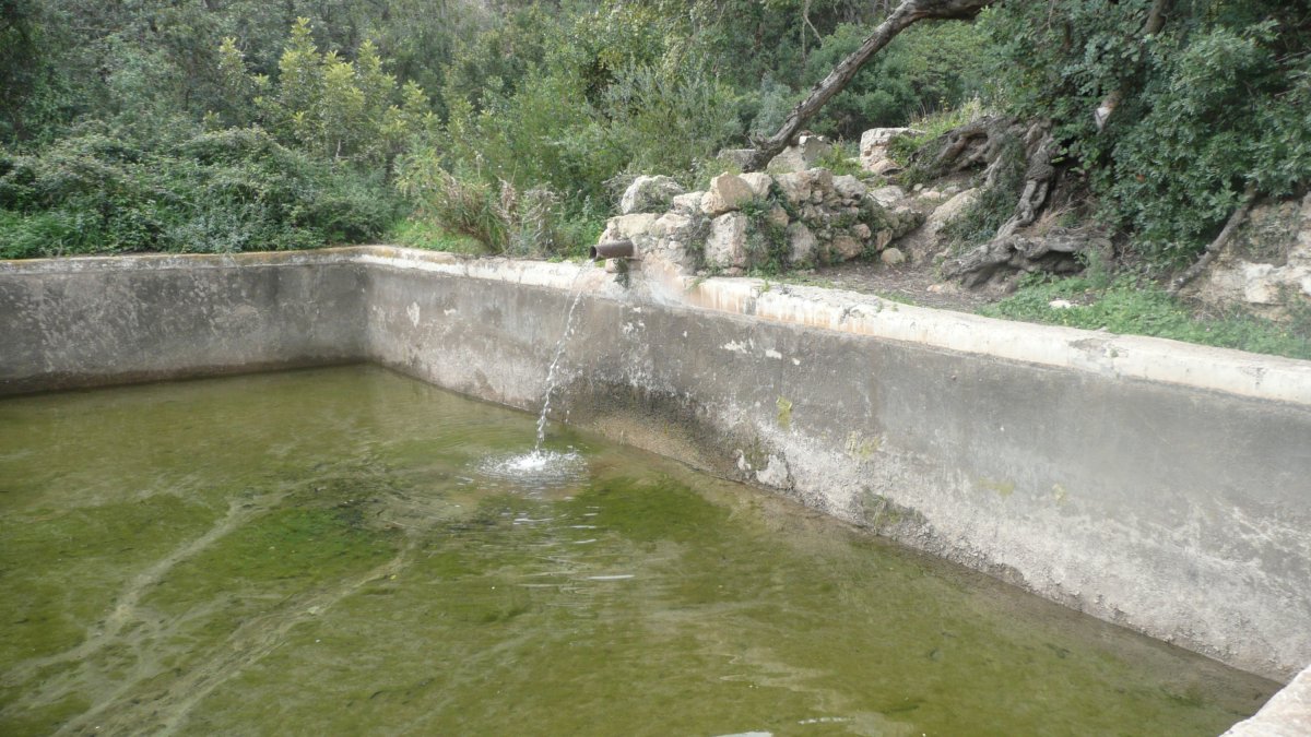La balsa de los moros de Bédar.