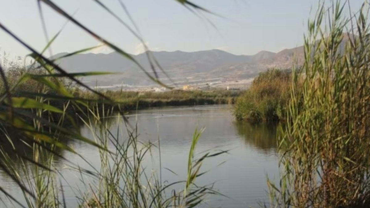 Archivo de las Albuferas de Adra.