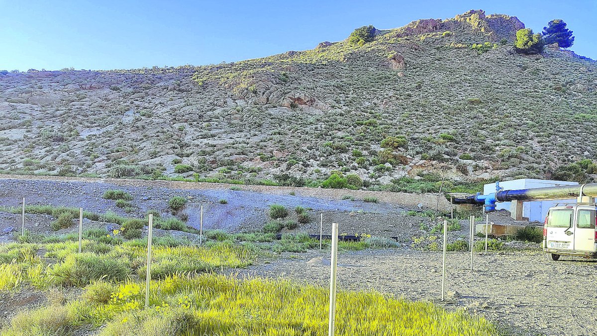 Zona en la que se está llevando a cabo la acción por la Asociación El Valle. La voz