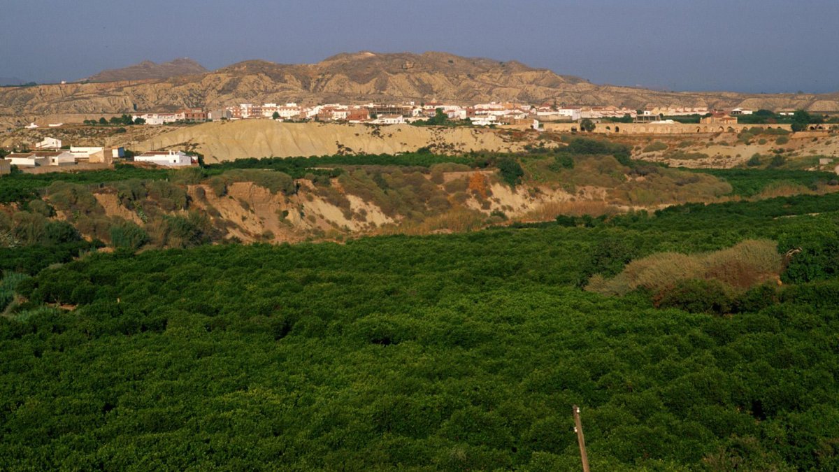 Jauro es una pedanía de Antas que celebra sus fiestas en honor de San Isidro Labrador.