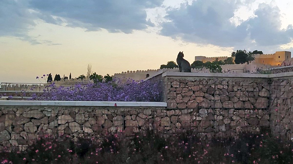 El mirador luce su mayor esplendor cuando empieza a esconderse el sol.