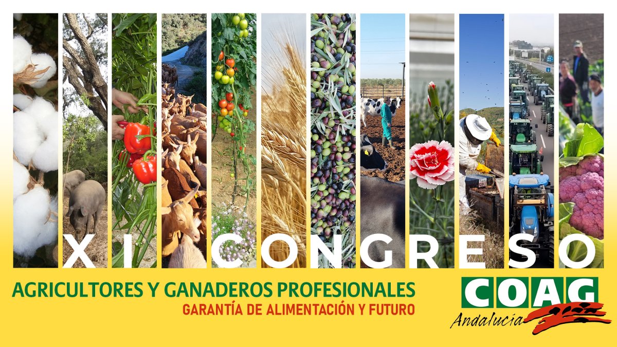 La Coordinadora de Organizaciones de Agricultores y Ganaderos -COAG- de Andalucía celebrará el próximo miércoles 28 de mayo su XI Congreso Regional.
