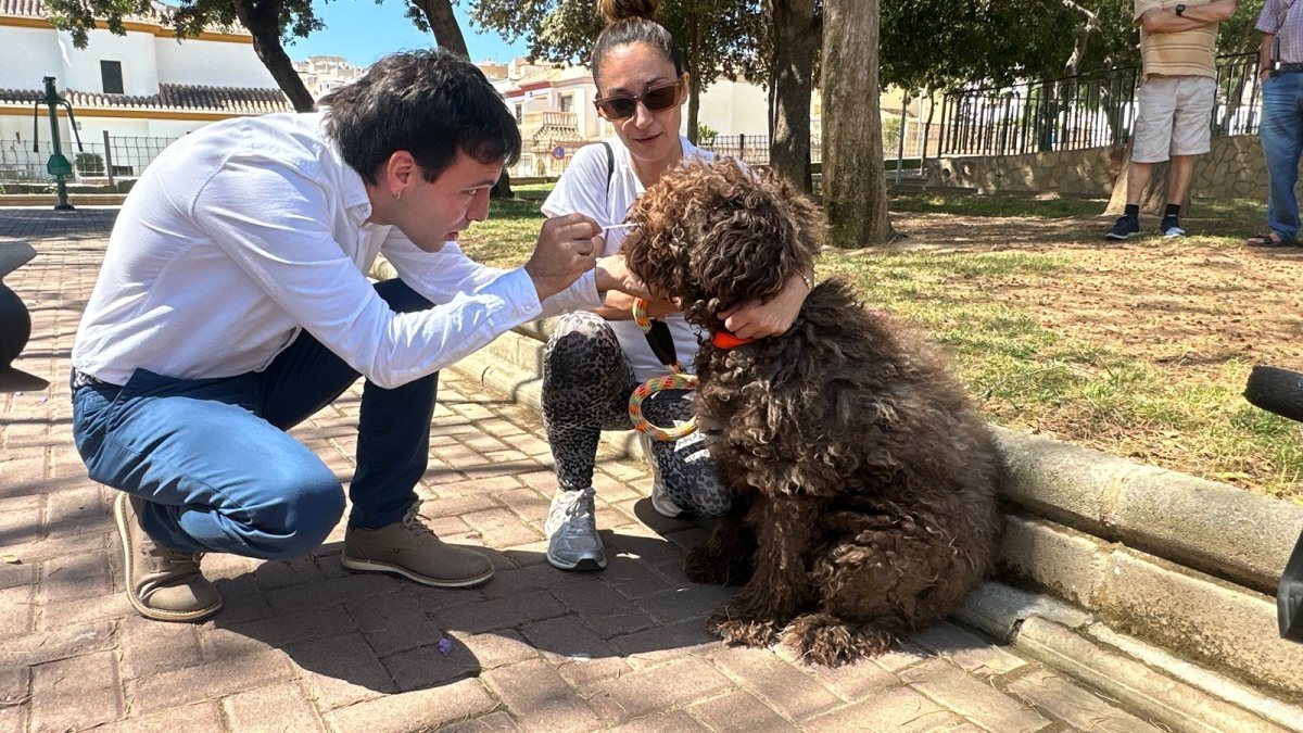 Muestra de ADN de un perro.