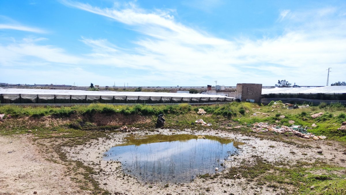 Uno de los solares que se verá afectado por las obras en los enlaces de la A7 en El Ejido.