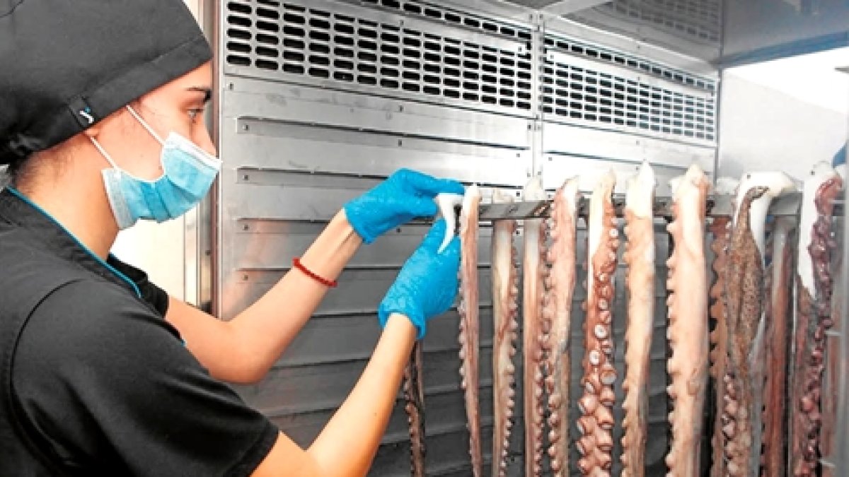 Archivo del Pulpo Seco en Adra.