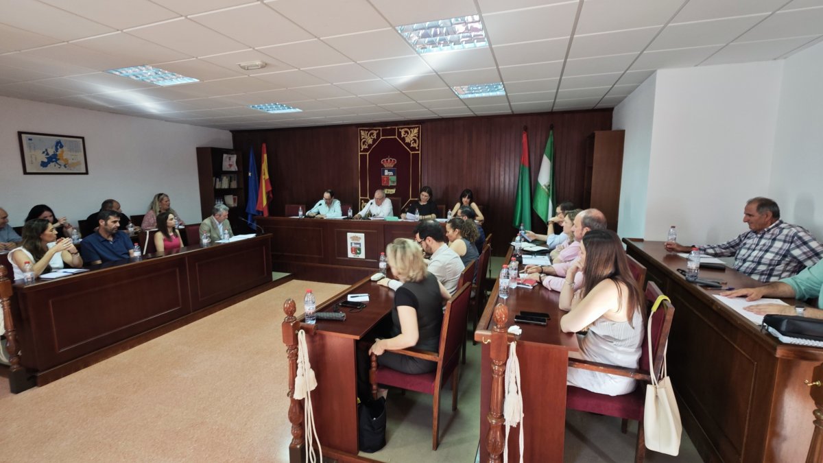 El pleno de Vícar.