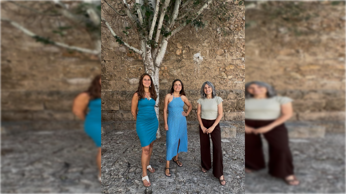 Organización de la I Feria Holística de Almócita.