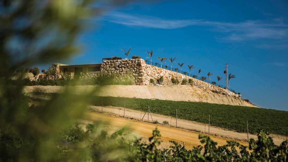 Bodega Sierra Almagrera.