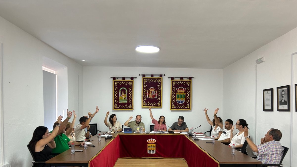 Pleno celebrado esta semana en Albox.