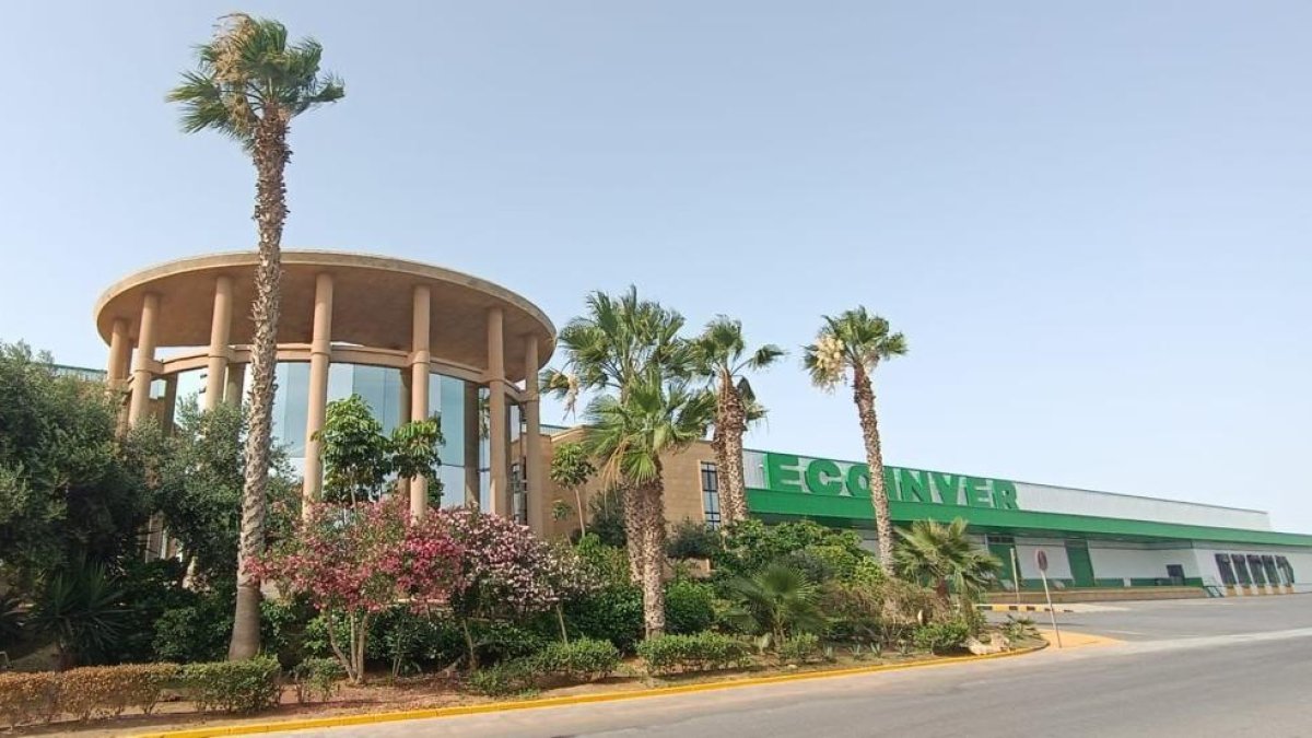 Durante este 2025 Grupo Ecoinver ha consolidado aún más su expansión y diversificación al incorporar el melón amarillo a su portfolio