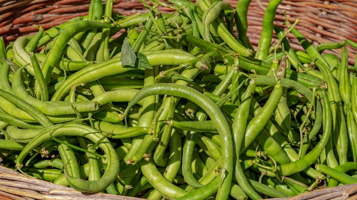 FEPEX: Los presupuestos de la futura PAC no son consecuentes con los objetivos de la comisión sobre soberanía alimentaria y mercado único