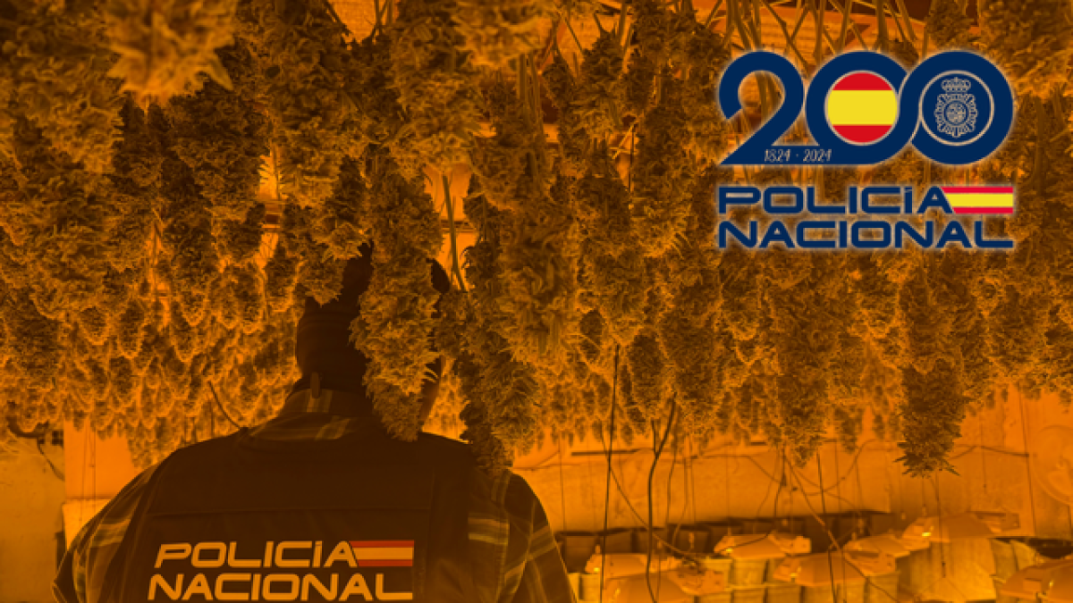 Imagen cedida por Policía Nacional.