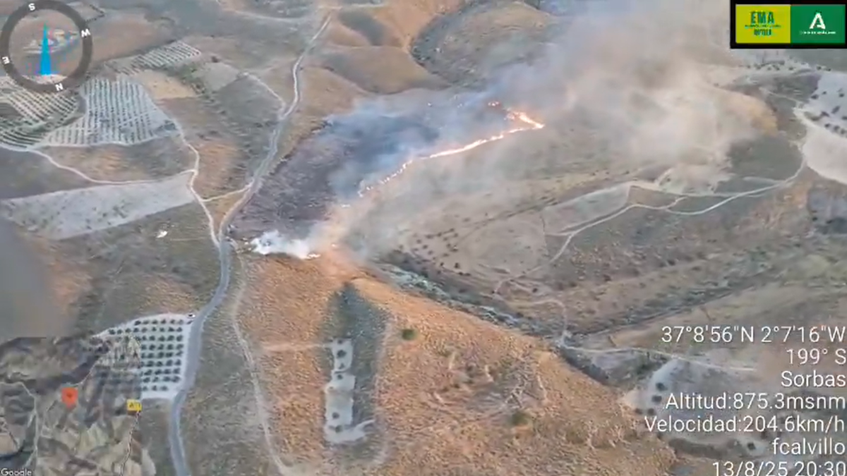Imagen del incendio publicada en las redes sociales del Plan Infoca.