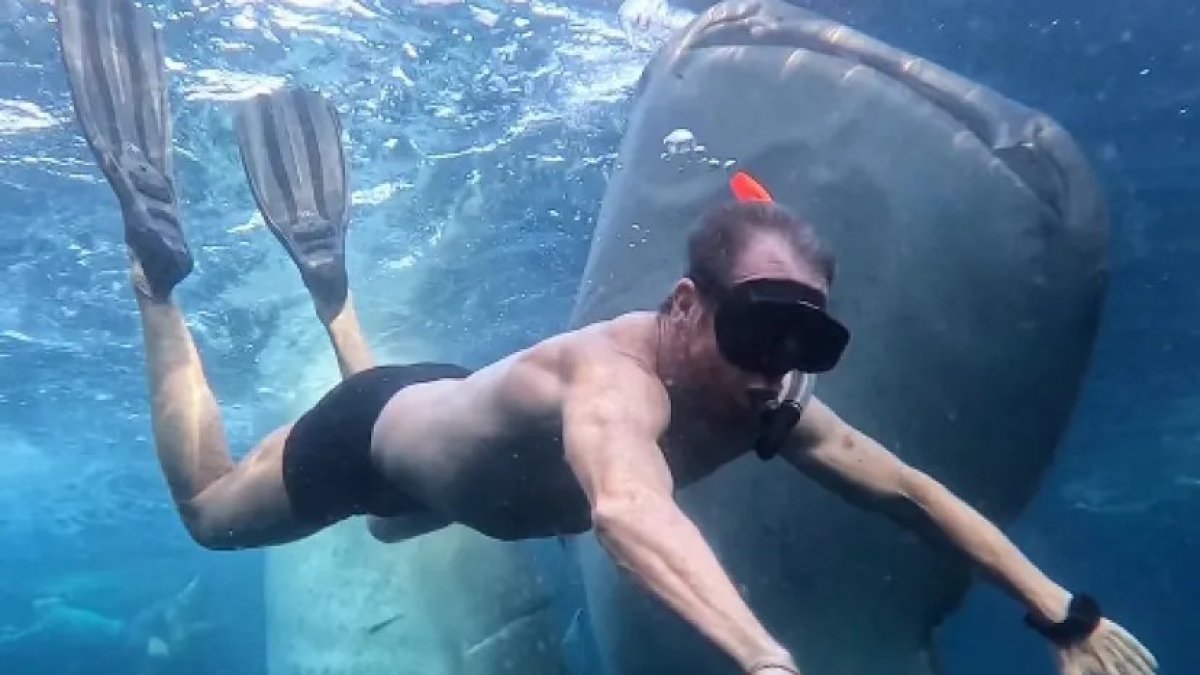 Pablo Motos nadando entre tiburones.