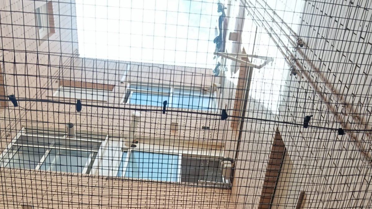 Una vecina tuvo que colocar una malla protectora para evitar que lanzase objetos a su balcón.