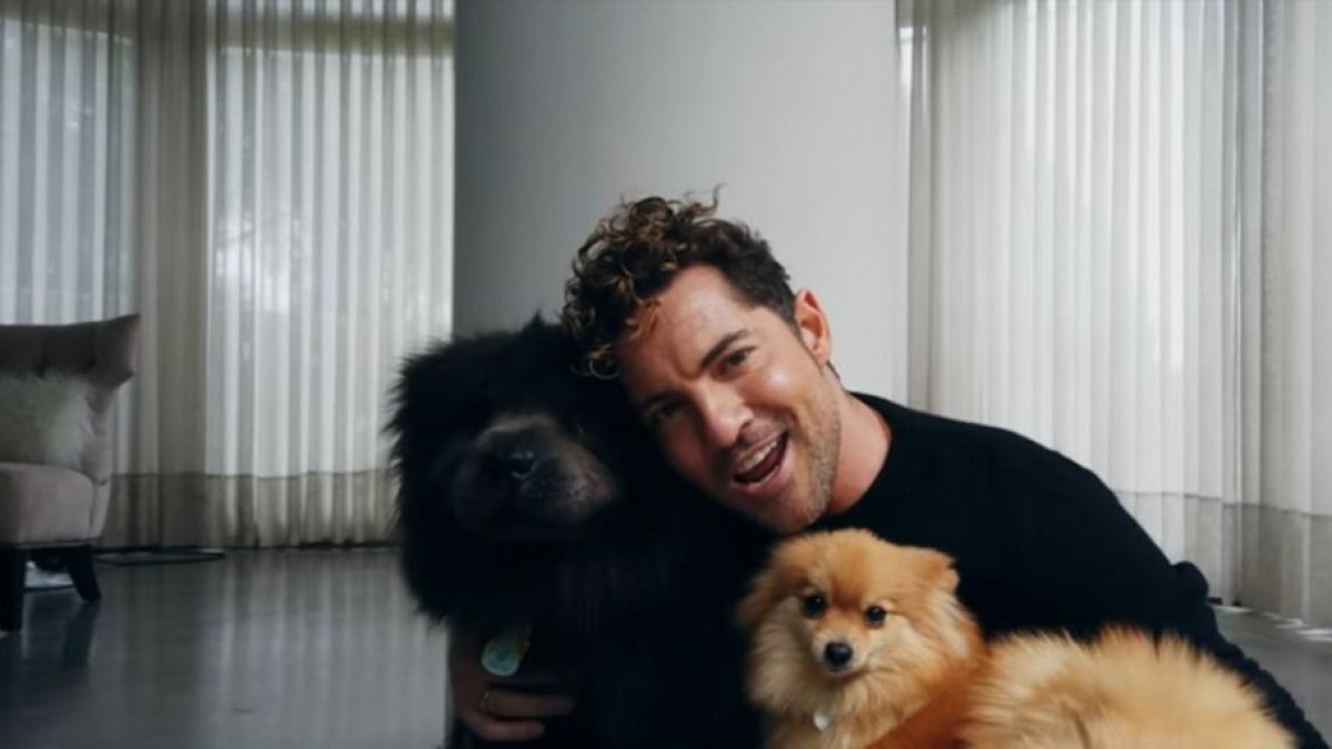 David Bisbal en su casa de Madrid.