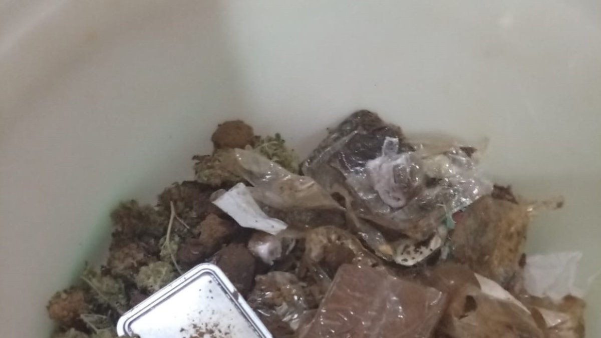 Sustancias encontradas en la vivienda por la Guardia Civil