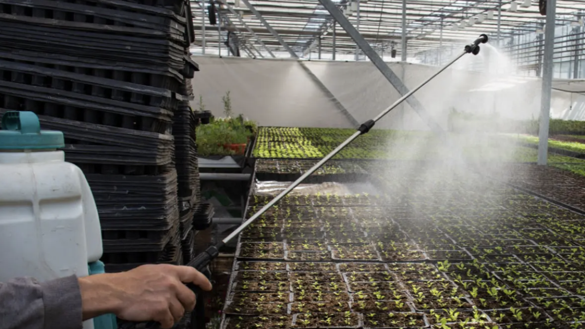 El plazo de inscripción permanecerá abierto hasta el 8 de septiembre.