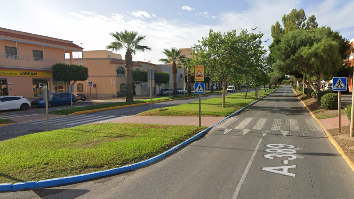 Avenida del Oasis, en El Ejido, donde fue atropellado mortalmente un hombre de 79 años.