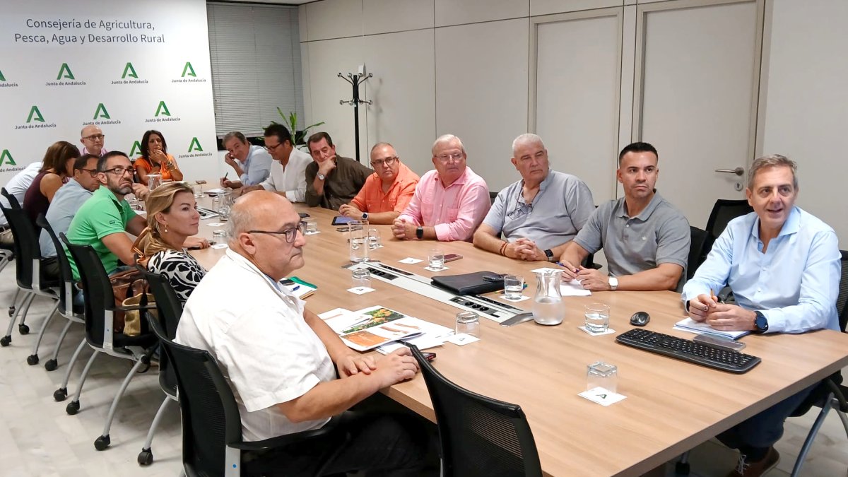 Aforo cítricos Andalucía 2025-2026.