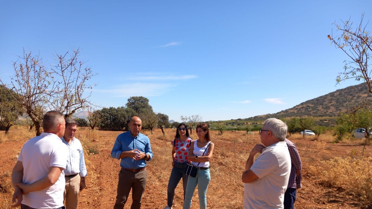 La Junta forma a los agricultores almerienses para controlar las plagas de avispilla y gusano cabezudo en unas jornadas en Vélez-Rubio.