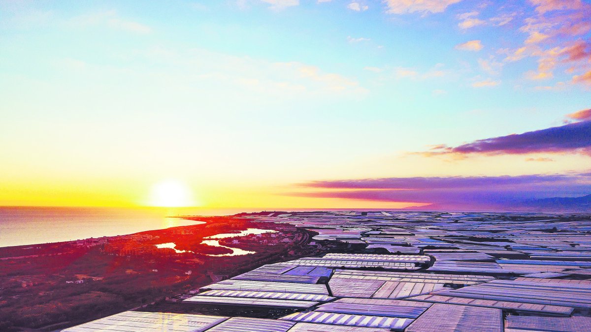 Vista aérea de El Ejido.