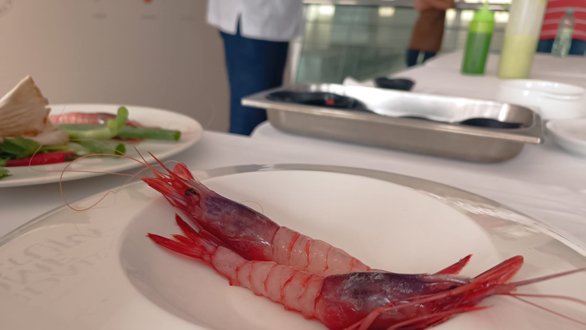 La gamba roja, protagonista del programa Andalucía come Cultura en el Restaurante La Lonja.