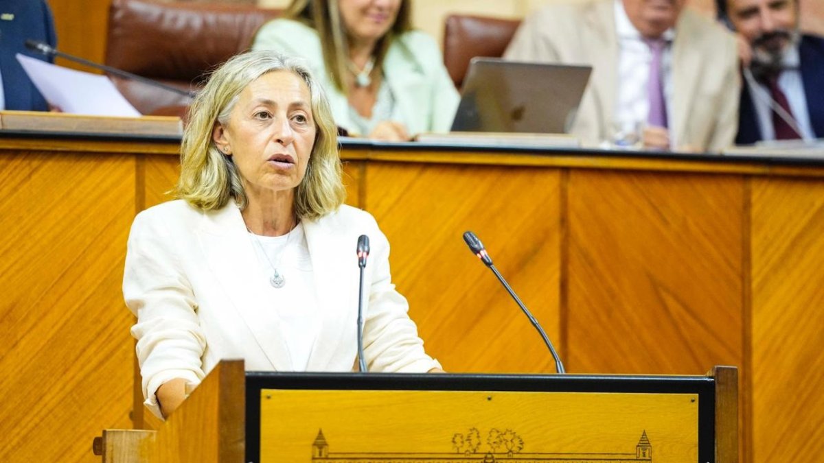La consejera de Salud, Rocío Hernández, este miércoles durante su comparecencia en el Pleno del Parlamento. (Foto de archivo).