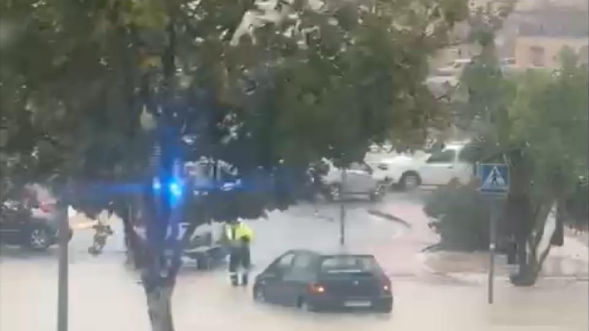 Parte de un vídeo que circula por aplicaciones de mensajería de una zona anegada en Albox.