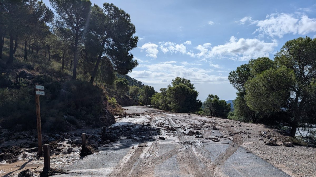 El Ayuntamiento de Berja trabaja en la restauración de la rambla.