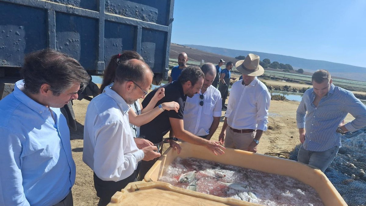 La Consejería de Agricultura recibe a una delegación del gobierno 
húngaro interesada en conocer la experiencia andaluza.
