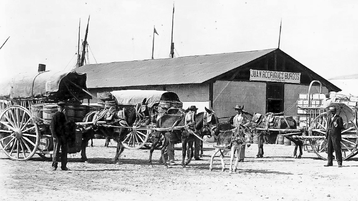 La barraca del puerto de la familia Rodríguez. Al morir su fundador José Rodríguez Calvache paso a manos de su sobre Juan Rodríguez Burgos.