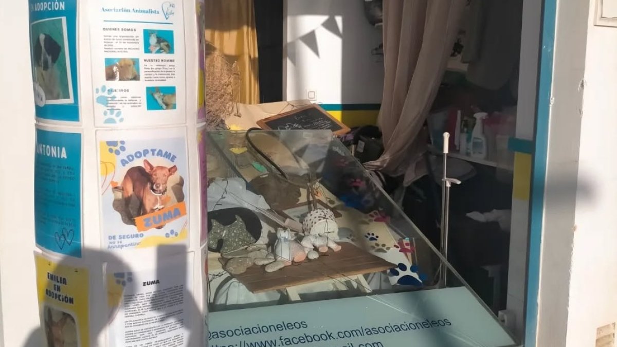 Estado en el que quedó la tienda de la asociación según ha mostrado el propio colectivo.