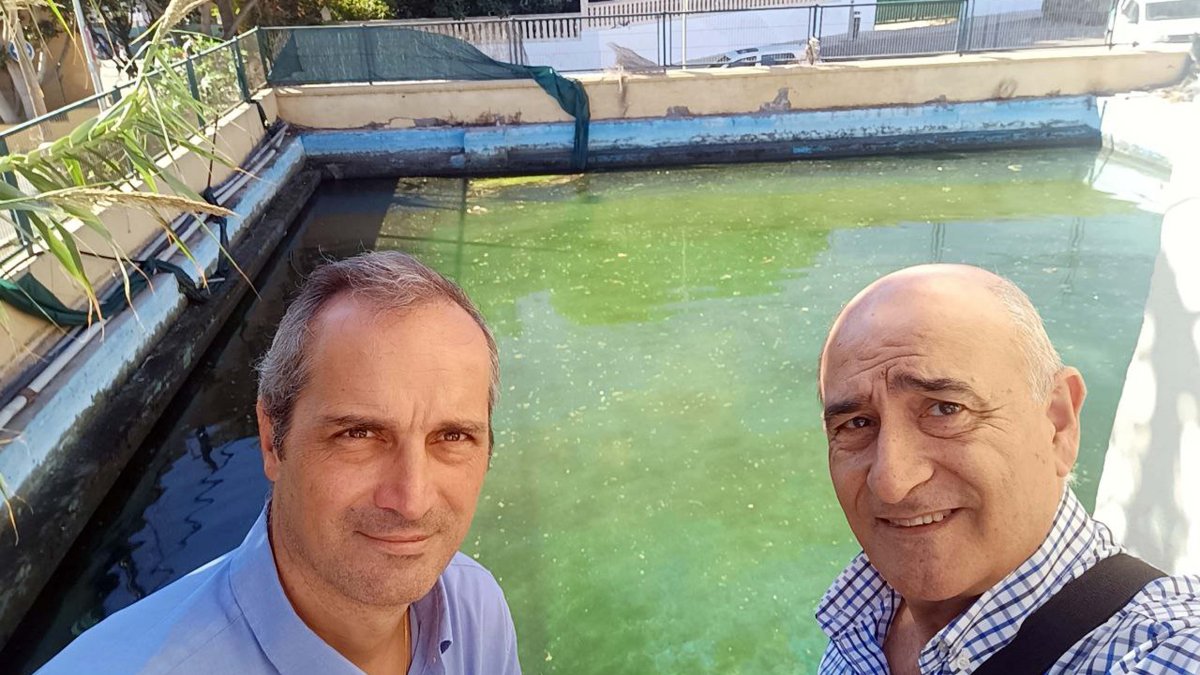 Autores del estudio.