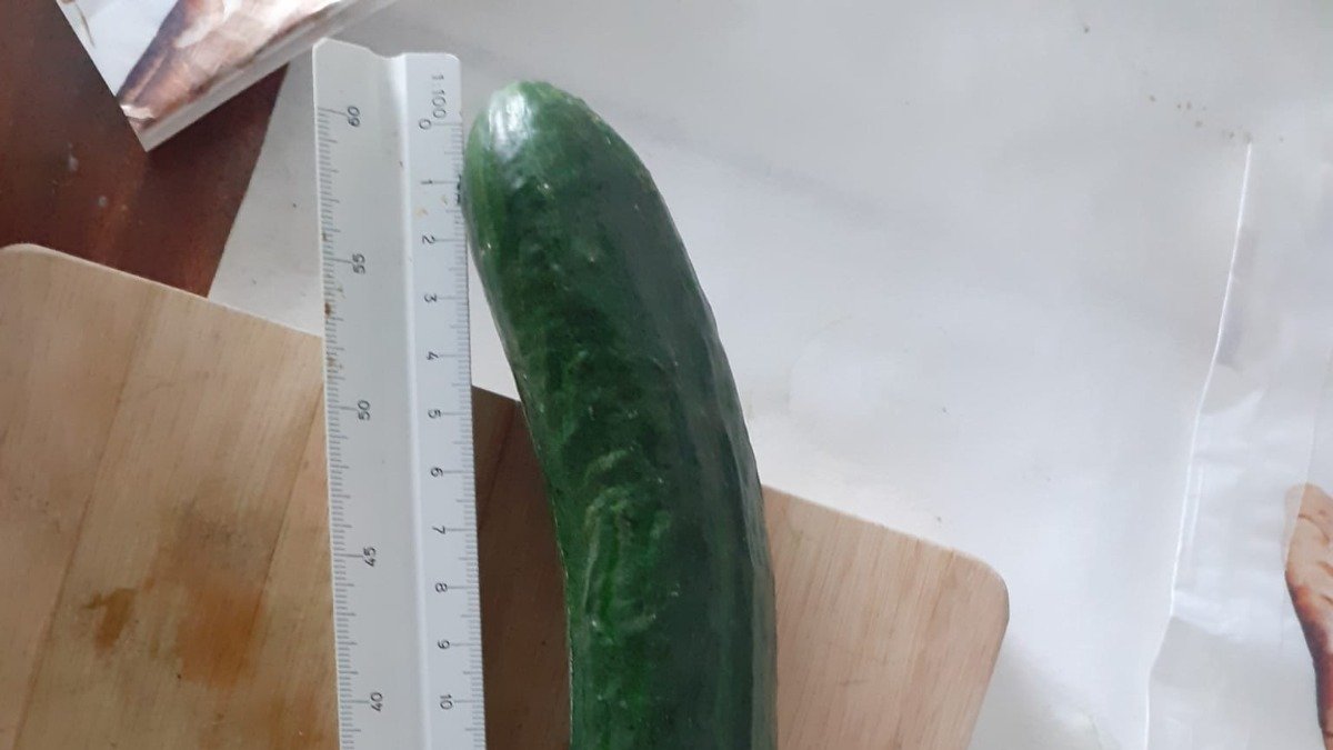 Pepino holandés biofortificado en hierro.