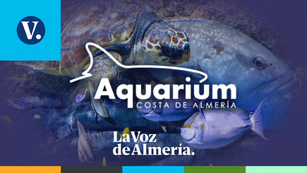 SORTEO-AQUARIUM