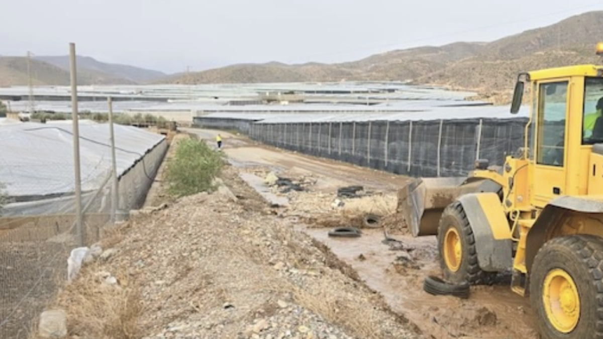 La Junta activa 33,5 millones para rescatar al campo andaluz tras los desastres.