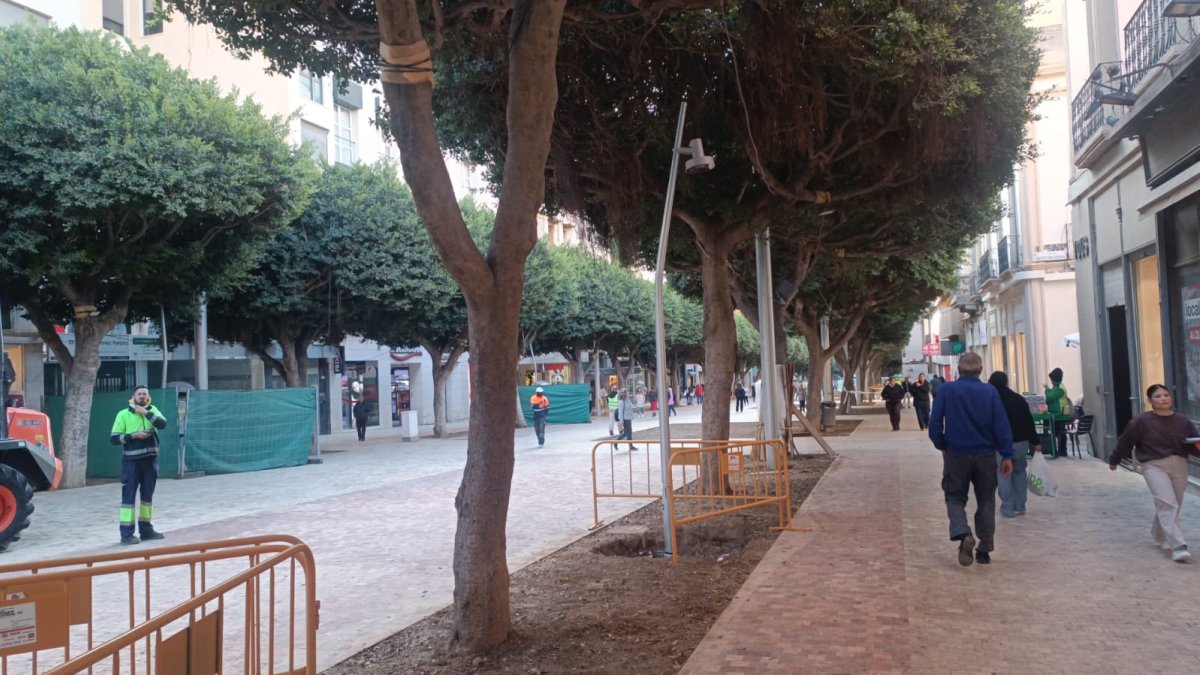 Imagen de las luminarias que se han colocado en el Paseo de Almería