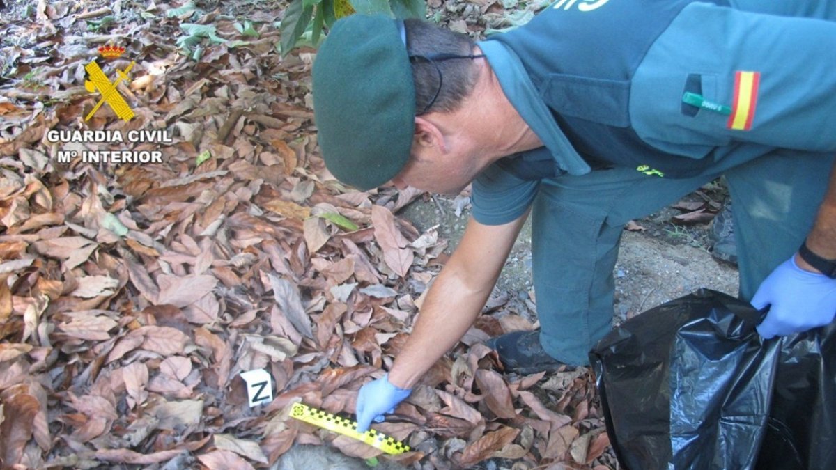 Un agente recoge muestras del cadáver de un gato doméstico cerca de una finca antes sospechas de uso de cebos envenenados.