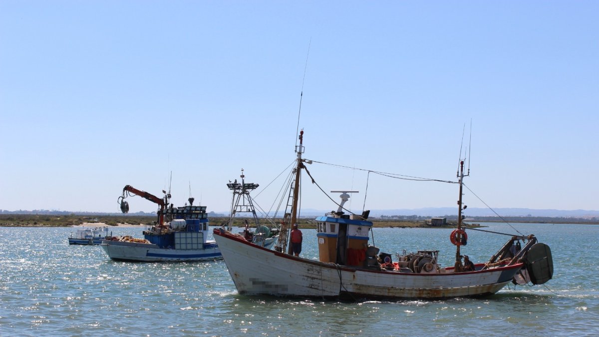 La flota de arrastre viene sufriendo recortes.