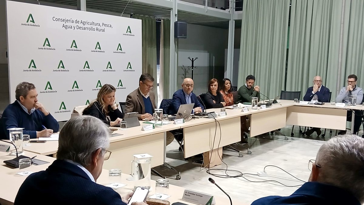 Consejo Andaluz del Olivar