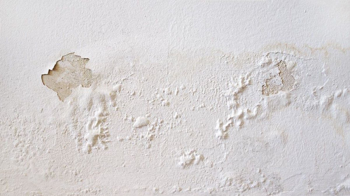 El exceso de humedad y la mala ventilación favorecen la aparición de desconchones y deterioro en las paredes de muchos hogares almerienses.